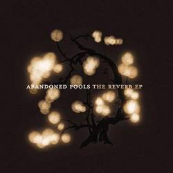 Abandoned Pools : The Reverb